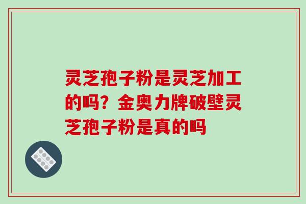 灵芝孢子粉是灵芝加工的吗？金奥力牌破壁灵芝孢子粉是真的吗