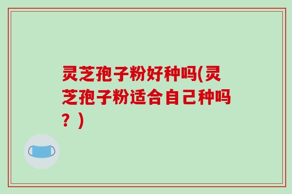 灵芝孢子粉好种吗(灵芝孢子粉适合自己种吗？)