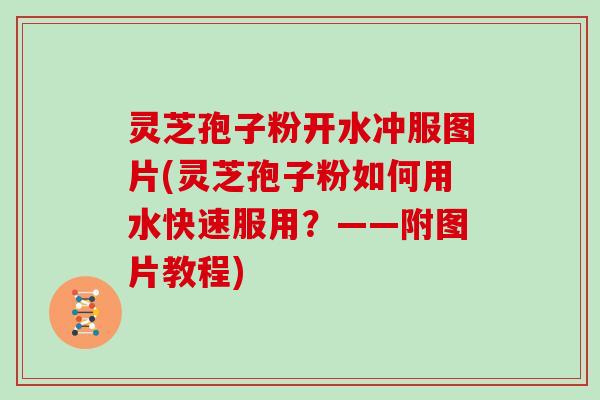 灵芝孢子粉开水冲服图片(灵芝孢子粉如何用水快速服用？——附图片教程)