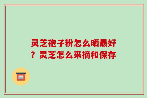 灵芝孢子粉怎么晒好？灵芝怎么采摘和保存