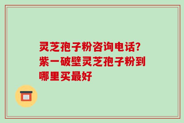 灵芝孢子粉咨询电话？紫一破壁灵芝孢子粉到哪里买好