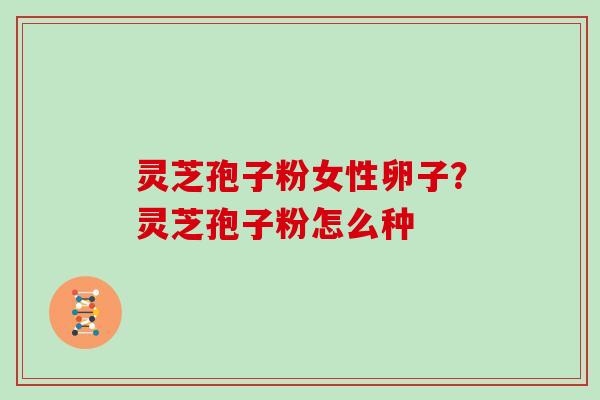 灵芝孢子粉女性卵子？灵芝孢子粉怎么种