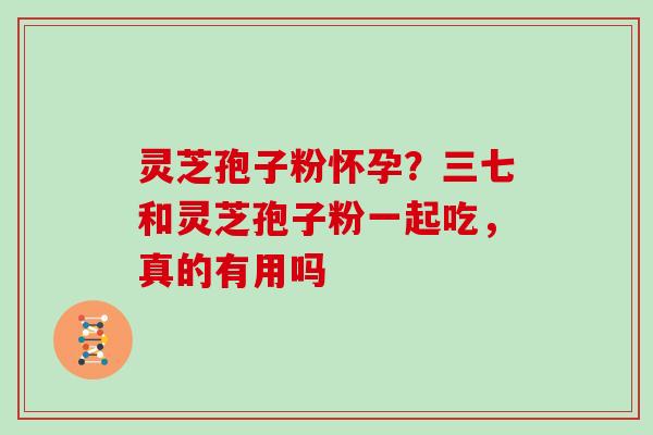 灵芝孢子粉怀孕？三七和灵芝孢子粉一起吃，真的有用吗