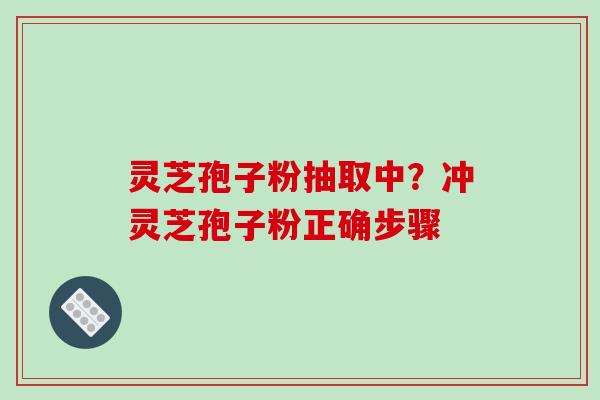 灵芝孢子粉抽取中？冲灵芝孢子粉正确步骤