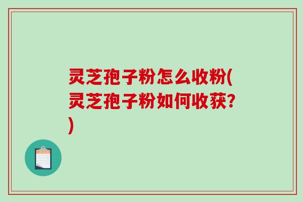 灵芝孢子粉怎么收粉(灵芝孢子粉如何收获？)