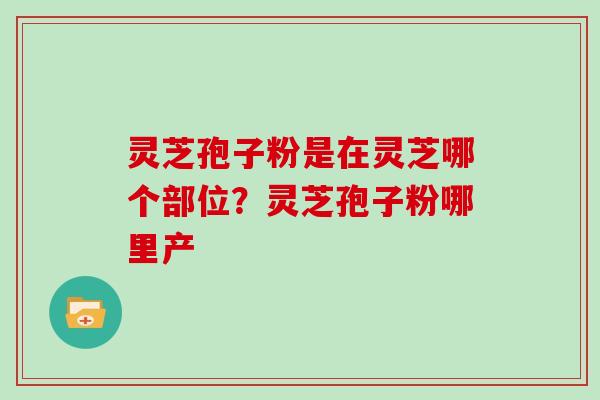 灵芝孢子粉是在灵芝哪个部位？灵芝孢子粉哪里产