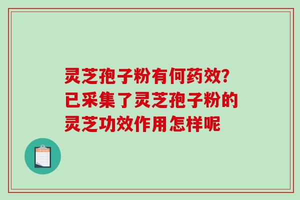 灵芝孢子粉有何药效？已采集了灵芝孢子粉的灵芝功效作用怎样呢