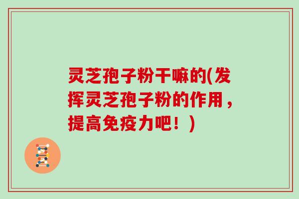 灵芝孢子粉干嘛的(发挥灵芝孢子粉的作用，提高免疫力吧！)