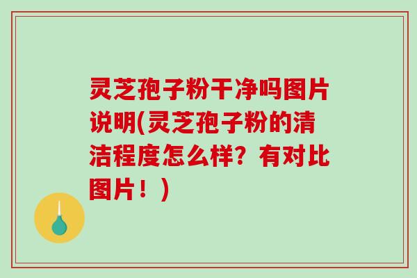 灵芝孢子粉干净吗图片说明(灵芝孢子粉的清洁程度怎么样？有对比图片！)