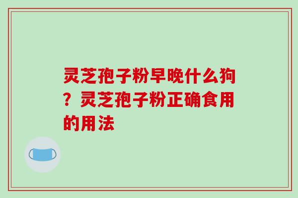 灵芝孢子粉早晚什么狗？灵芝孢子粉正确食用的用法
