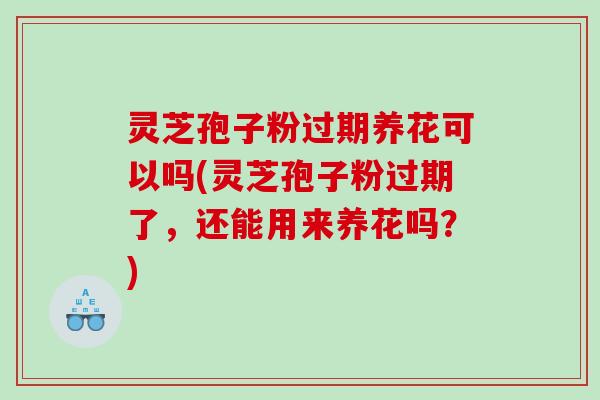 灵芝孢子粉过期养花可以吗(灵芝孢子粉过期了,还能用来养花吗?) 灵芝孢子粉过期养花可以吗(灵芝孢子粉过期了,还能用来养花吗?)