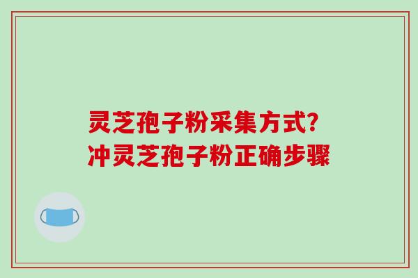 灵芝孢子粉采集方式?冲灵芝孢子粉正确步骤 灵芝孢子粉采集方式?冲灵芝孢子粉正确步骤