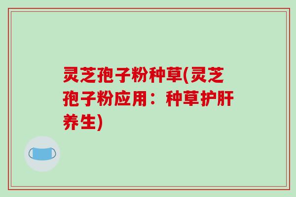灵芝孢子粉种草(灵芝孢子粉应用:种草养生) 灵芝孢子粉种草(灵芝孢子粉应用:种草养生)
