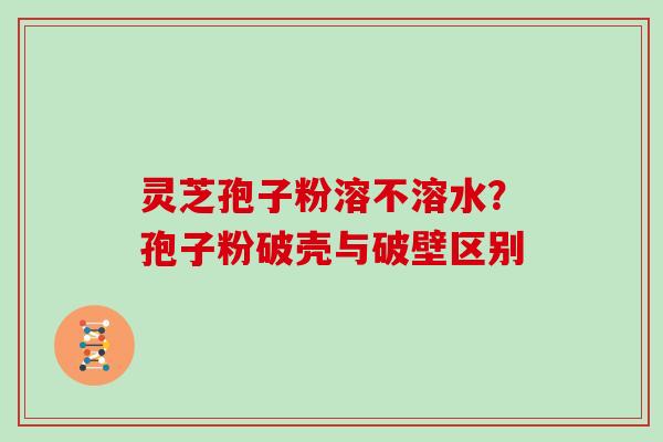 灵芝孢子粉溶不溶水？孢子粉破壳与破壁区别