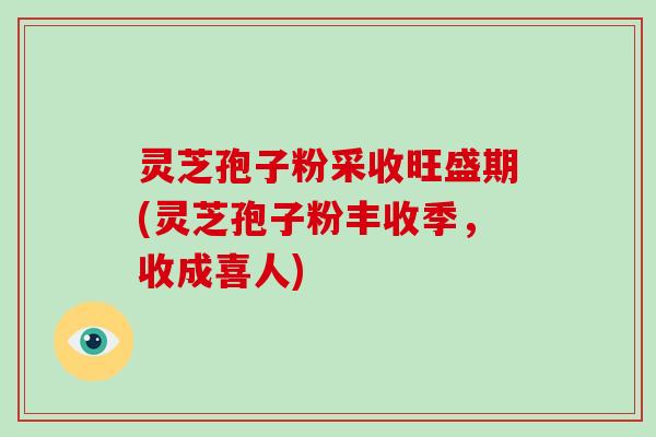 灵芝孢子粉采收旺盛期(灵芝孢子粉丰收季，收成喜人)