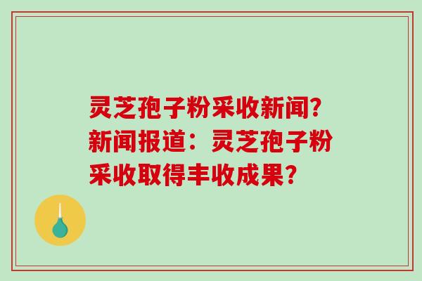 灵芝孢子粉采收新闻？新闻报道：灵芝孢子粉采收取得丰收成果？