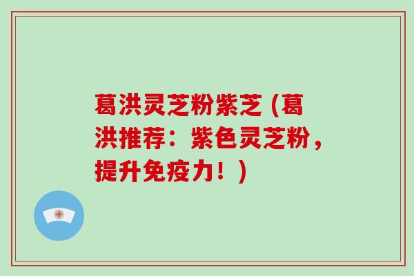 葛洪灵芝粉紫芝 (葛洪推荐：紫色灵芝粉，提升免疫力！)