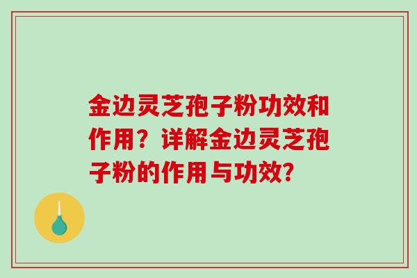 金边灵芝孢子粉功效和作用？详解金边灵芝孢子粉的作用与功效？