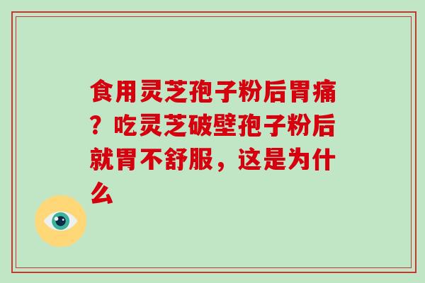 食用灵芝孢子粉后胃痛？吃灵芝破壁孢子粉后就胃不舒服，这是为什么