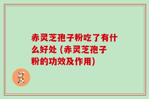 赤灵芝孢子粉吃了有什么好处 (赤灵芝孢子粉的功效及作用)