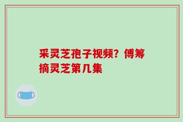 采灵芝孢子视频？傅筹摘灵芝第几集