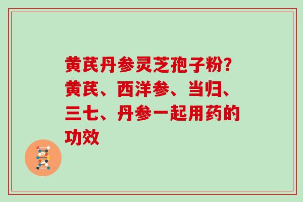 黄芪丹参灵芝孢子粉？黄芪、西洋参、当归、三七、丹参一起用药的功效