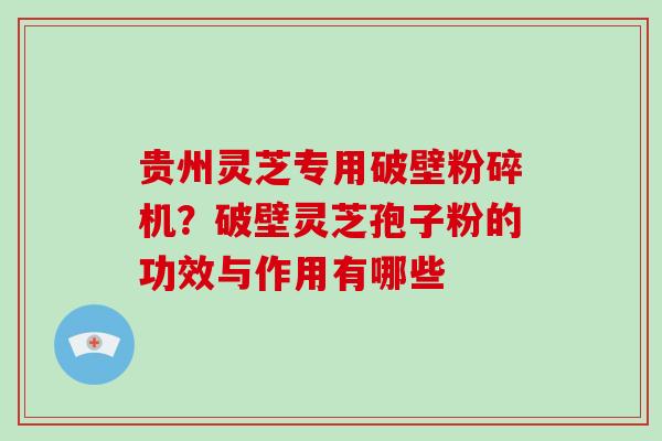 贵州灵芝专用破壁粉碎机?破壁灵芝孢子粉的功效与作用有哪些 贵州灵芝专用破壁粉碎机?破壁灵芝孢子粉的功效与作用有哪些