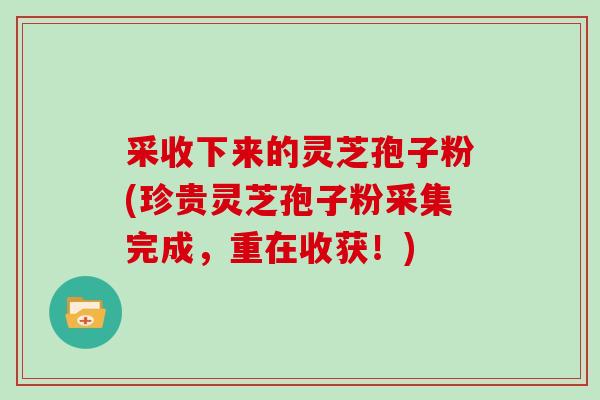 采收下来的灵芝孢子粉(珍贵灵芝孢子粉采集完成，重在收获！)