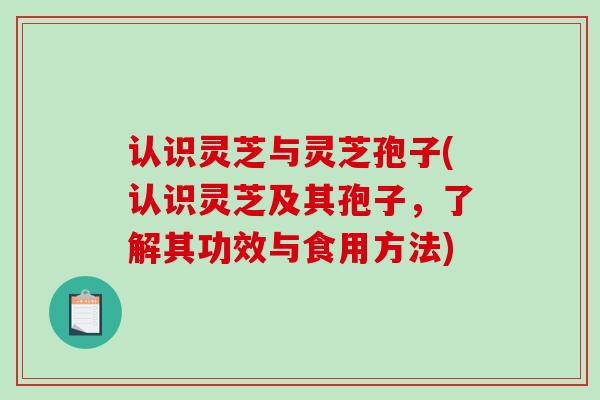 认识灵芝与灵芝孢子(认识灵芝及其孢子,了解其功效与食用方法) 认识灵芝与灵芝孢子(认识灵芝及其孢子,了解其功效与食用方法)
