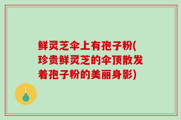 鲜灵芝伞上有孢子粉(珍贵鲜灵芝的伞顶散发着孢子粉的美丽身影)