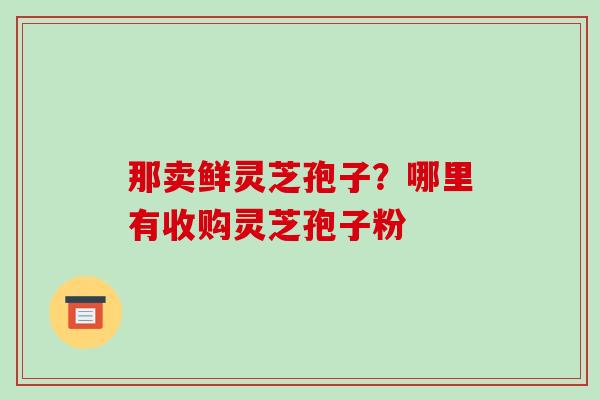 那卖鲜灵芝孢子？哪里有收购灵芝孢子粉