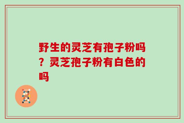 野生的灵芝有孢子粉吗？灵芝孢子粉有白色的吗