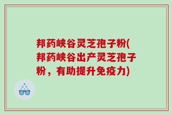 邦药峡谷灵芝孢子粉(邦药峡谷出产灵芝孢子粉，有助提升免疫力)