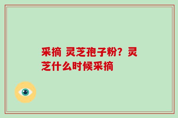 采摘 灵芝孢子粉？灵芝什么时候采摘