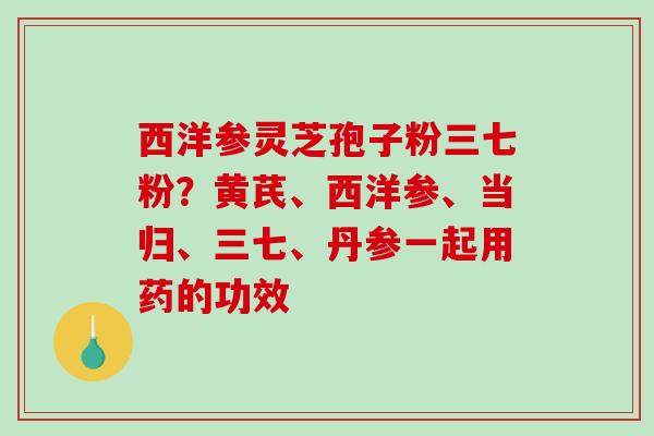 西洋参灵芝孢子粉三七粉？黄芪、西洋参、当归、三七、丹参一起用药的功效