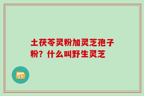 土茯苓灵粉加灵芝孢子粉?什么叫野生灵芝 土茯苓灵粉加灵芝孢子粉?什么叫野生灵芝