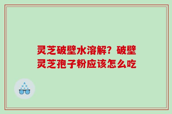 灵芝破壁水溶解？破壁灵芝孢子粉应该怎么吃