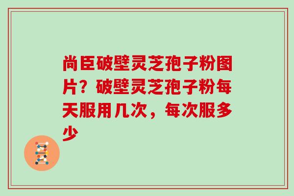 尚臣破壁灵芝孢子粉图片？破壁灵芝孢子粉每天服用几次，每次服多少