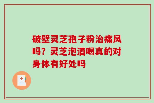 破壁灵芝孢子粉痛风吗？灵芝泡酒喝真的对身体有好处吗