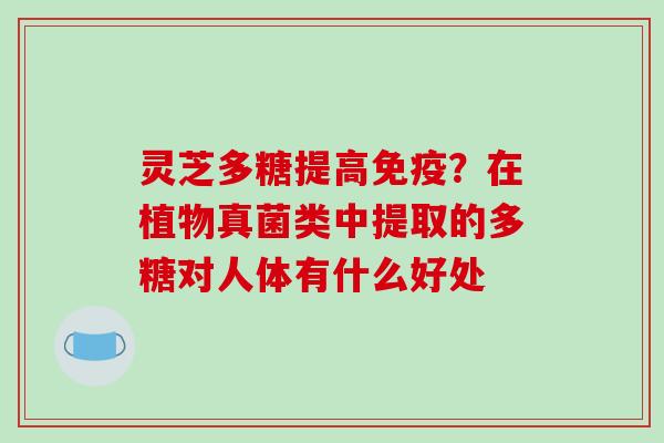 灵芝多糖提高免疫?在植物真菌类中提取的多糖对人体有什么好处 灵芝多糖提高免疫?在植物真菌类中提取的多糖对人体有什么好处
