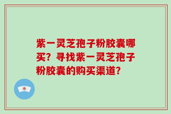 紫一灵芝孢子粉胶囊哪买？寻找紫一灵芝孢子粉胶囊的购买渠道？