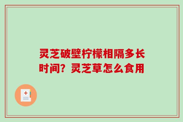 灵芝破壁柠檬相隔多长时间？灵芝草怎么食用