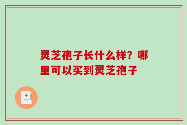 灵芝孢子长什么样?哪里可以买到灵芝孢子 灵芝孢子长什么样?哪里可以买到灵芝孢子