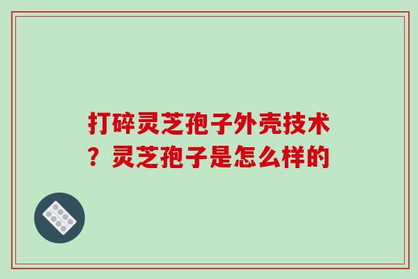 打碎灵芝孢子外壳技术?灵芝孢子是怎么样的 打碎灵芝孢子外壳技术?灵芝孢子是怎么样的