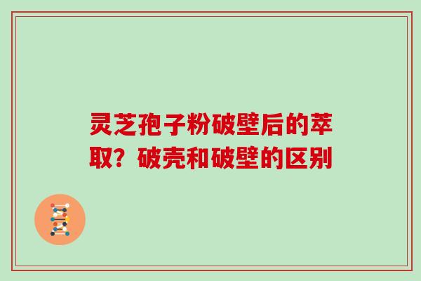 灵芝孢子粉破壁后的萃取？破壳和破壁的区别
