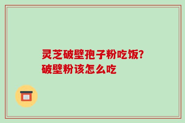 灵芝破壁孢子粉吃饭？破壁粉该怎么吃