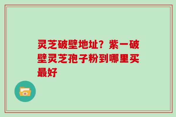 灵芝破壁地址?紫一破壁灵芝孢子粉到哪里买好 灵芝破壁地址?紫一破壁灵芝孢子粉到哪里买好
