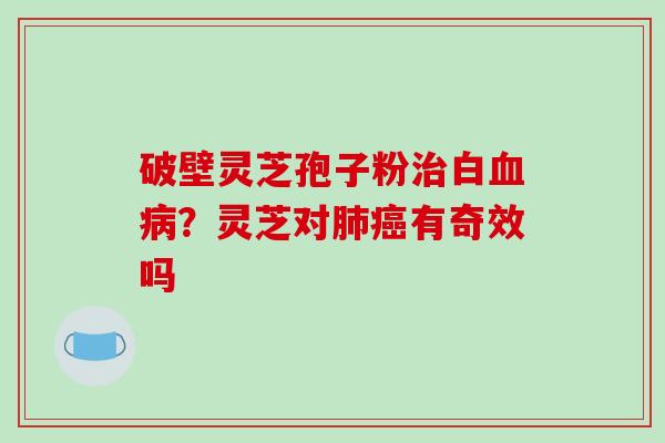 破壁灵芝孢子粉白？灵芝对有奇效吗