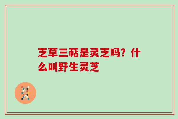 芝草三萜是灵芝吗？什么叫野生灵芝