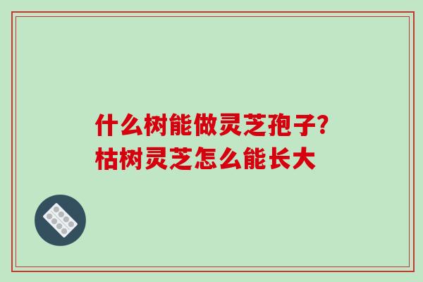 什么树能做灵芝孢子?枯树灵芝怎么能长大 什么树能做灵芝孢子?枯树灵芝怎么能长大